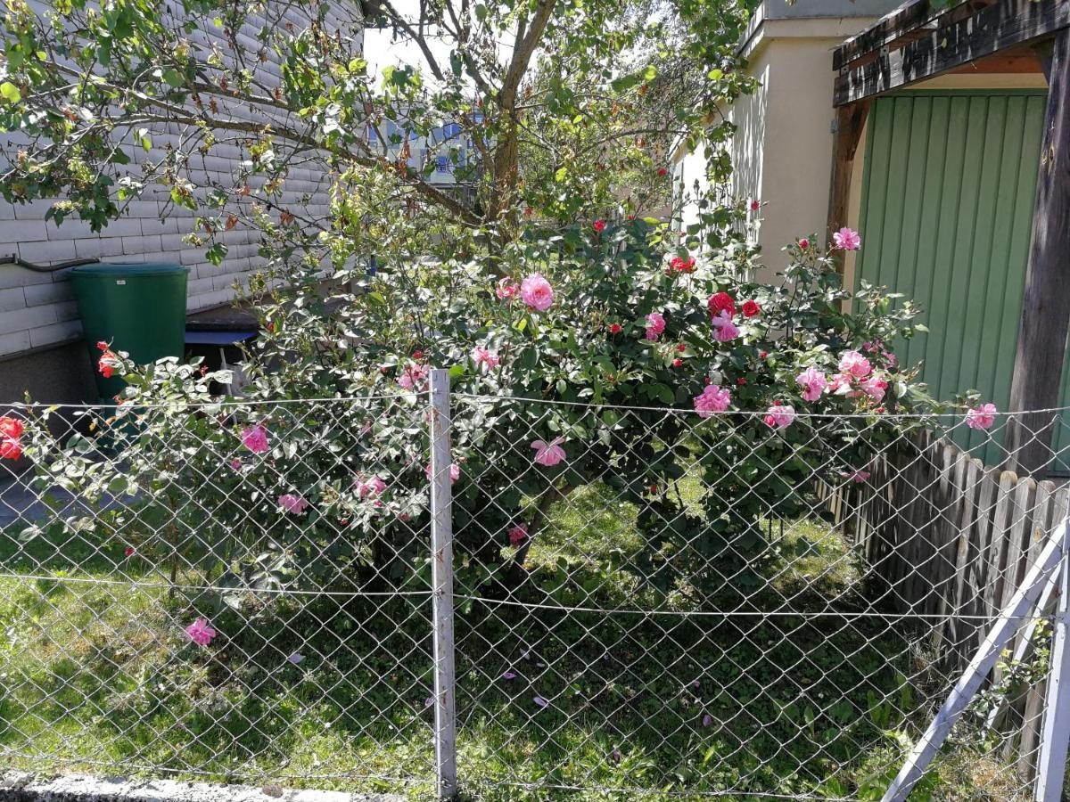 Appartamento Doppelhaushaelfte Mit Garten