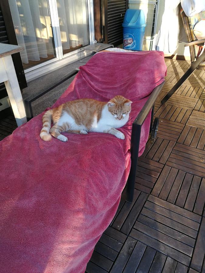 Doppelhaushaelfte Mit Garten Linz